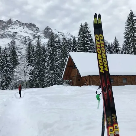 Delle Dolomiti 公寓 *