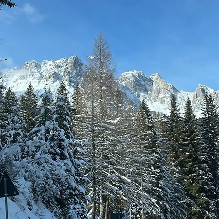 Apartament Delle Dolomiti Pieve di Cadore
